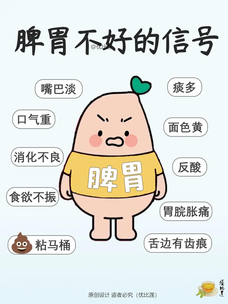 脾胃虚弱怎么调理