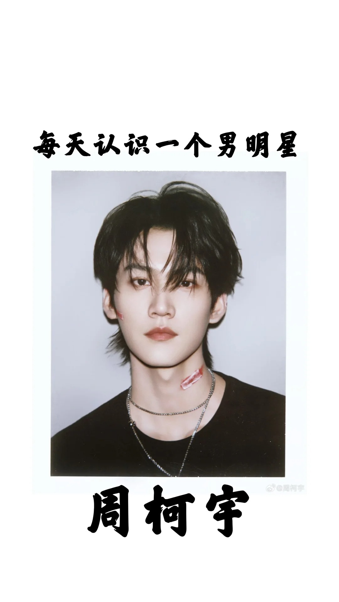 周柯宇个人资料