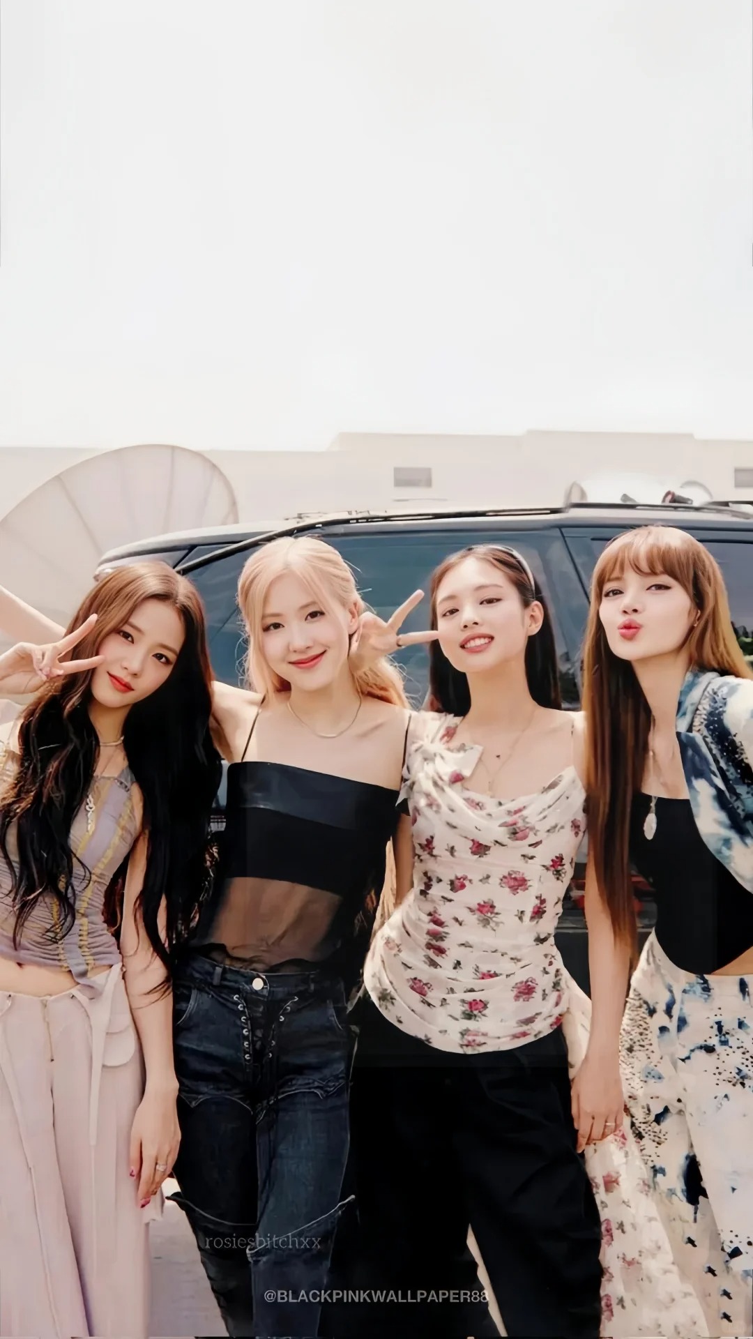 blackpink成员个人资料