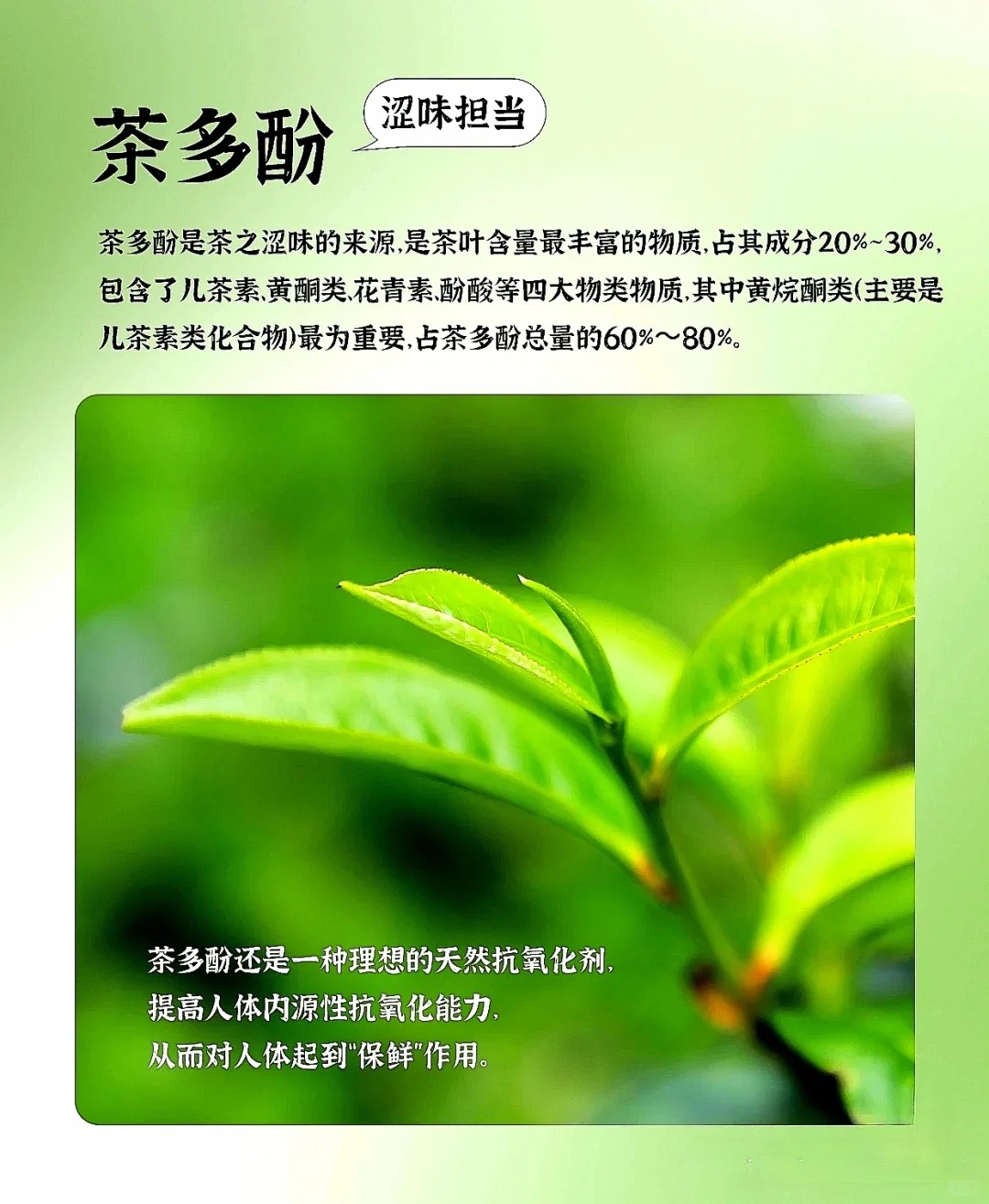 茶多酚能祛斑吗