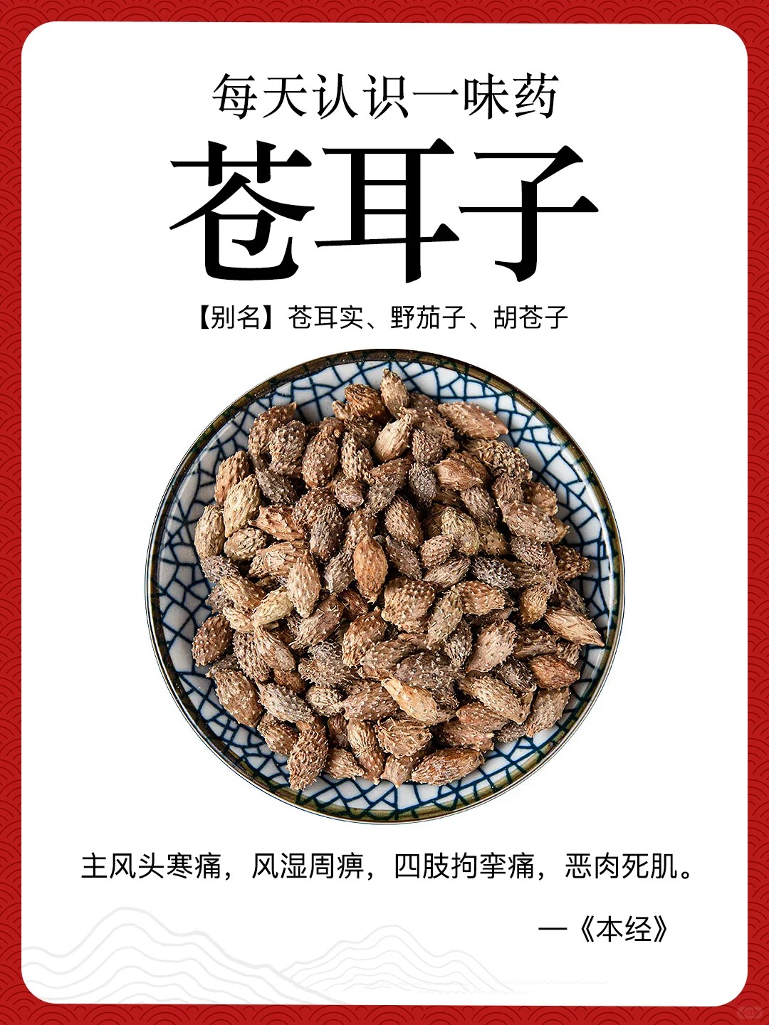 苍耳泡酒可以祛痘祛斑吗