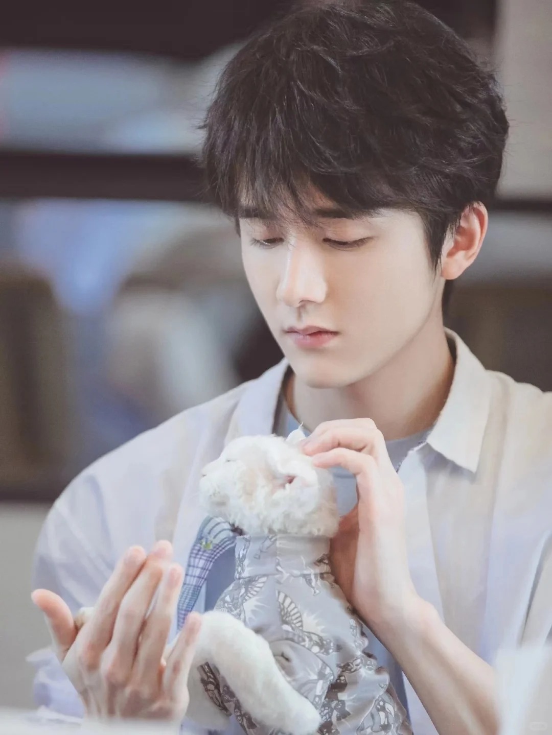 张新成个人资料