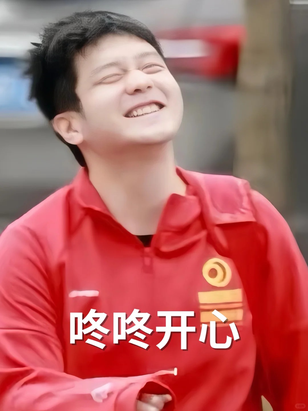 樊振东个人资料