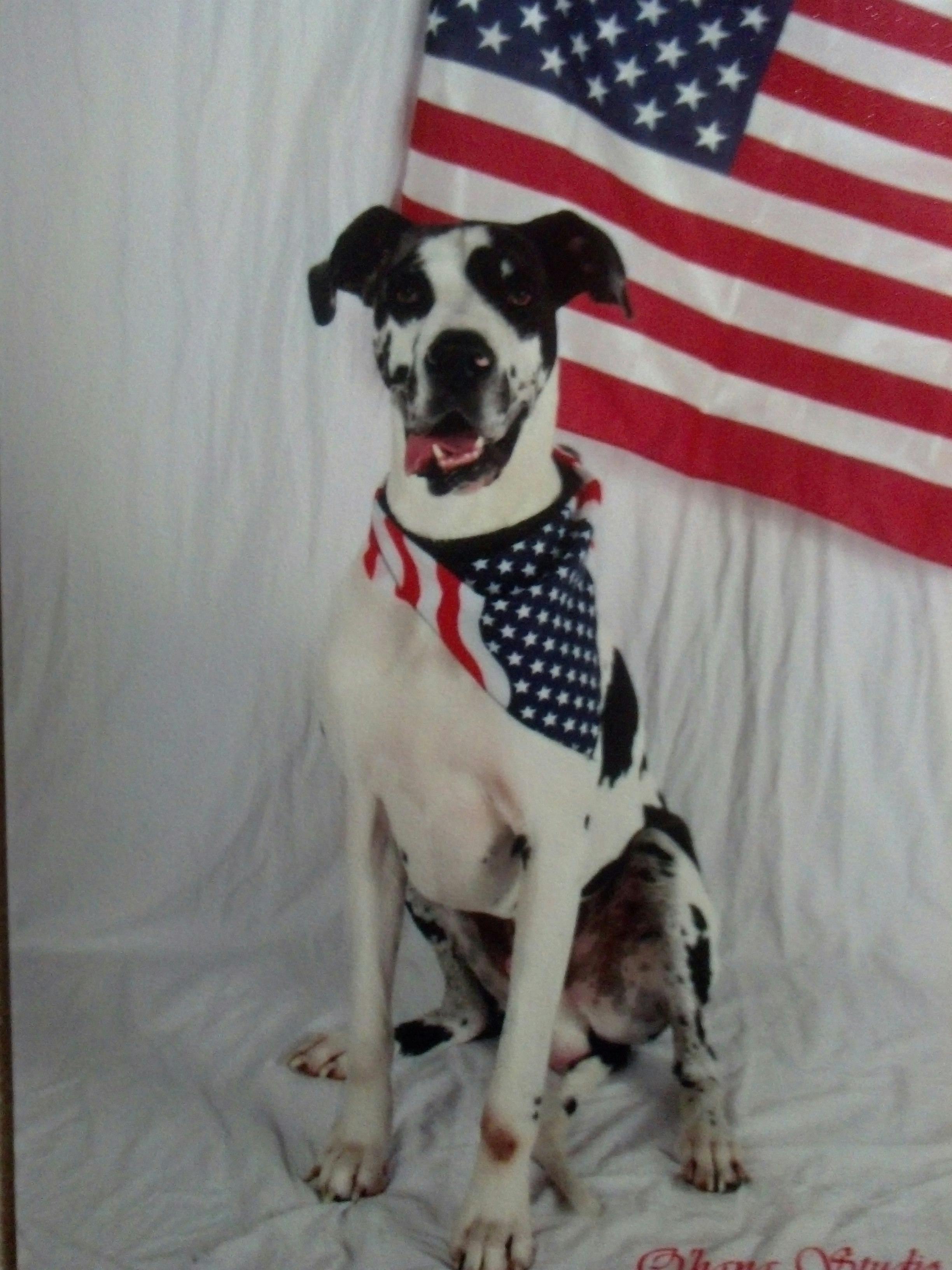 坚定的信念图片